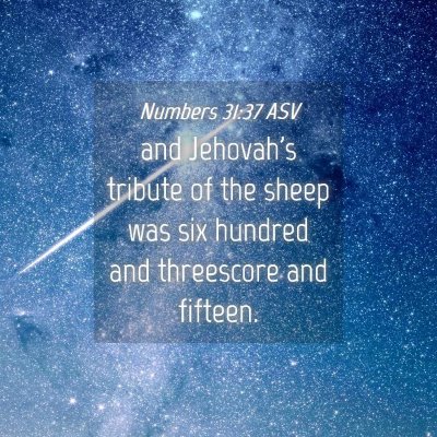 Picture 04 - Numbers 31:37 ASV - and Jehovah's tribute of the sheep was six - Bible Verse Picture