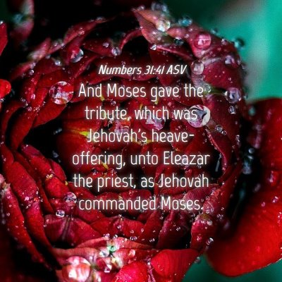 Picture 04 - Numbers 31:41 ASV - And Moses gave the tribute, which was Jehovah's - Bible Verse Picture