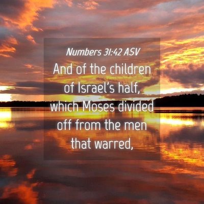 Picture 04 - Numbers 31:42 ASV - And of the children of Israel's half, which Moses - Bible Verse Picture