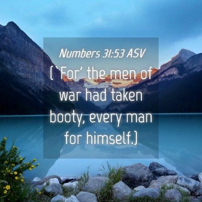 Picture 04 - Numbers 31:53 ASV - (`For' the men of war had taken booty, every man - Bible Verse Picture
