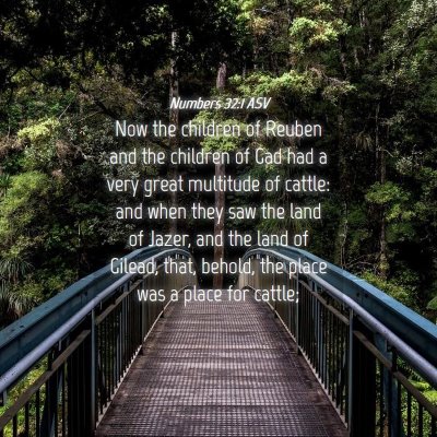 Picture 04 - Numbers 32:1 ASV - Now the children of Reuben and the children of - Bible Verse Picture