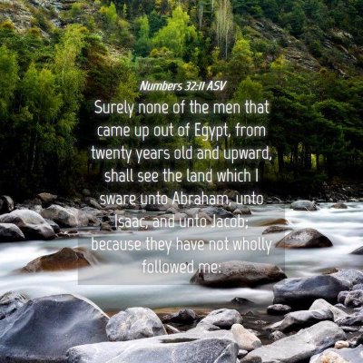 Picture 04 - Numbers 32:11 ASV - Surely none of the men that came up out of Egypt, - Bible Verse Picture