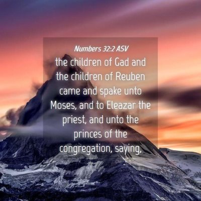 Picture 04 - Numbers 32:2 ASV - the children of Gad and the children of Reuben - Bible Verse Picture