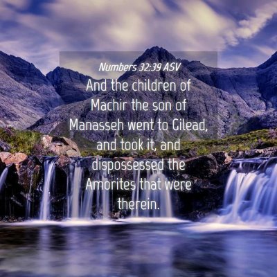 Picture 04 - Numbers 32:39 ASV - And the children of Machir the son of Manasseh - Bible Verse Picture