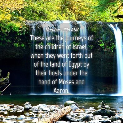 Picture 04 - Numbers 33:1 ASV - These are the journeys of the children of Israel, - Bible Verse Picture