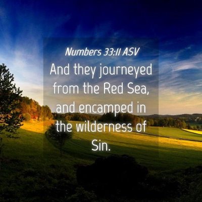 Picture 04 - Numbers 33:11 ASV - And they journeyed from the Red Sea, and encamped - Bible Verse Picture