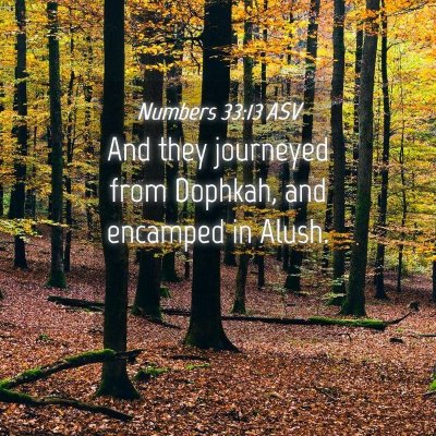 Picture 04 - Numbers 33:13 ASV - And they journeyed from Dophkah, and encamped in - Bible Verse Picture