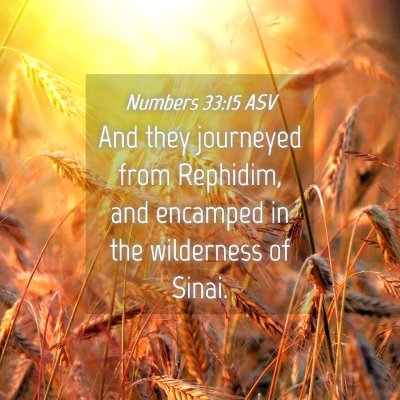 Picture 04 - Numbers 33:15 ASV - And they journeyed from Rephidim, and encamped in - Bible Verse Picture