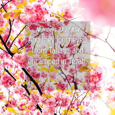 Picture 04 - Numbers 33:27 ASV - And they journeyed from Tahath, and encamped in - Bible Verse Picture
