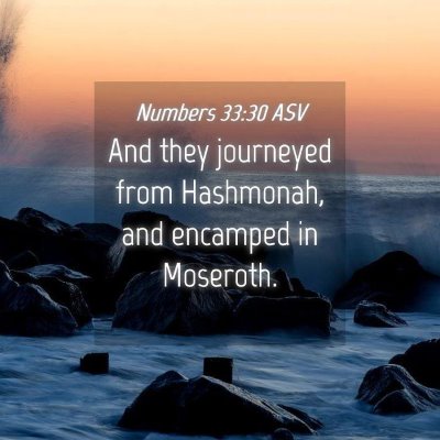 Picture 04 - Numbers 33:30 ASV - And they journeyed from Hashmonah, and encamped - Bible Verse Picture