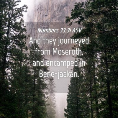 Picture 04 - Numbers 33:31 ASV - And they journeyed from Moseroth, and encamped in - Bible Verse Picture