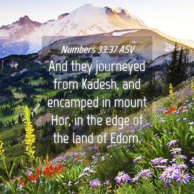 Picture 04 - Numbers 33:37 ASV - And they journeyed from Kadesh, and encamped in - Bible Verse Picture