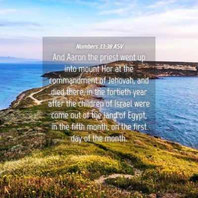 Picture 04 - Numbers 33:38 ASV - And Aaron the priest went up into mount Hor at - Bible Verse Picture