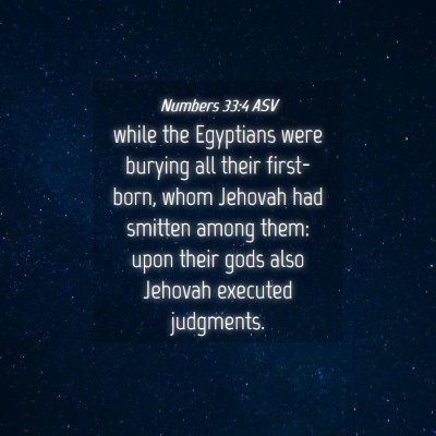Picture 04 - Numbers 33:4 ASV - while the Egyptians were burying all their - Bible Verse Picture