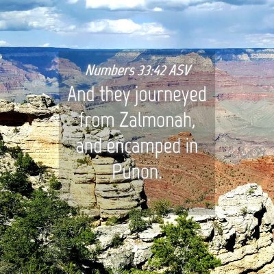 Picture 04 - Numbers 33:42 ASV - And they journeyed from Zalmonah, and encamped in - Bible Verse Picture