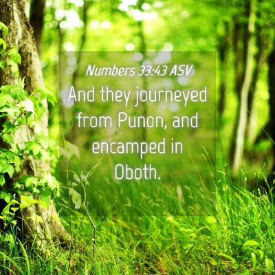 Picture 04 - Numbers 33:43 ASV - And they journeyed from Punon, and encamped in - Bible Verse Picture