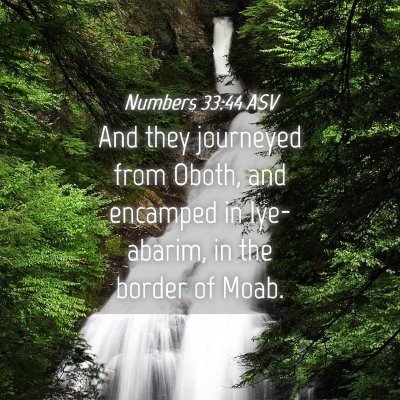 Picture 04 - Numbers 33:44 ASV - And they journeyed from Oboth, and encamped in - Bible Verse Picture
