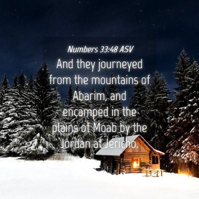 Picture 04 - Numbers 33:48 ASV - And they journeyed from the mountains of Abarim, - Bible Verse Picture