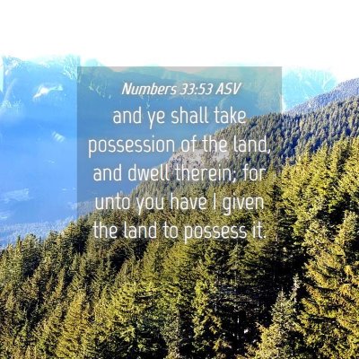 Picture 04 - Numbers 33:53 ASV - and ye shall take possession of the land, and - Bible Verse Picture