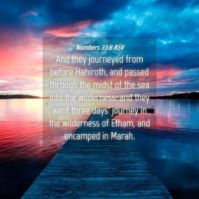 Picture 04 - Numbers 33:8 ASV - And they journeyed from before Hahiroth, and - Bible Verse Picture