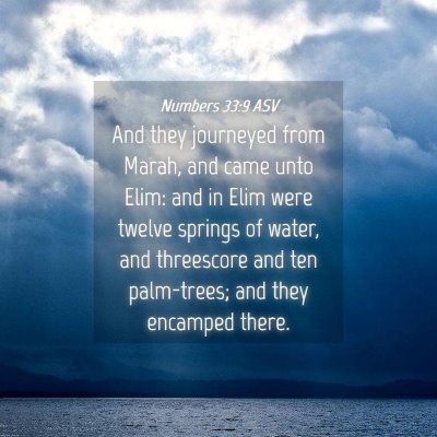 Picture 04 - Numbers 33:9 ASV - And they journeyed from Marah, and came unto - Bible Verse Picture