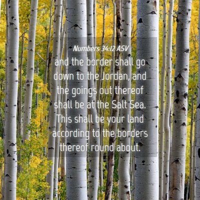 Picture 04 - Numbers 34:12 ASV - and the border shall go down to the Jordan, and - Bible Verse Picture