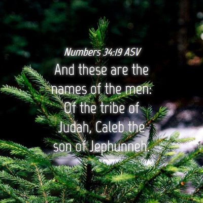 Picture 04 - Numbers 34:19 ASV - And these are the names of the men: Of the tribe - Bible Verse Picture