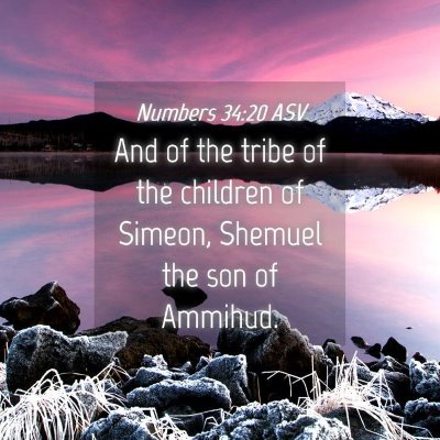 Picture 04 - Numbers 34:20 ASV - And of the tribe of the children of Simeon, - Bible Verse Picture