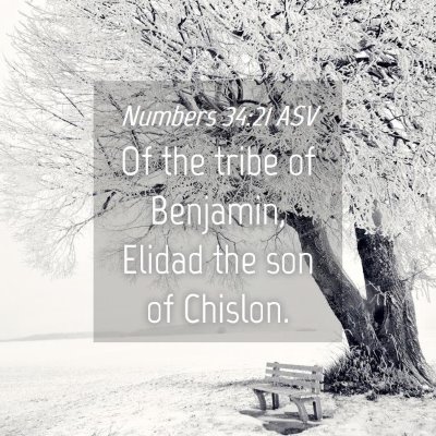 Picture 04 - Numbers 34:21 ASV - Of the tribe of Benjamin, Elidad the son of - Bible Verse Picture