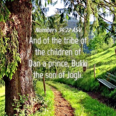 Picture 04 - Numbers 34:22 ASV - And of the tribe of the children of Dan a prince, - Bible Verse Picture