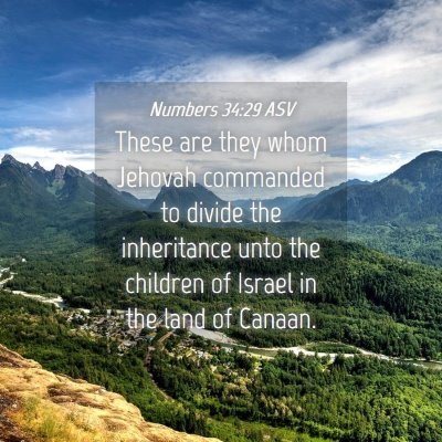 Picture 04 - Numbers 34:29 ASV - These are they whom Jehovah commanded to divide - Bible Verse Picture