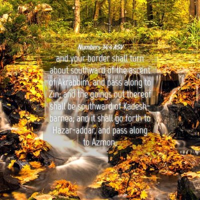 Picture 04 - Numbers 34:4 ASV - and your border shall turn about southward of the - Bible Verse Picture