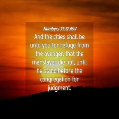 Picture 04 - Numbers 35:12 ASV - And the cities shall be unto you for refuge from - Bible Verse Picture