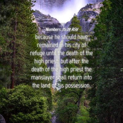 Picture 04 - Numbers 35:28 ASV - because he should have remained in his city of - Bible Verse Picture