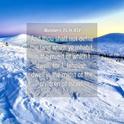 Picture 04 - Numbers 35:34 ASV - And thou shalt not defile the land which ye - Bible Verse Picture