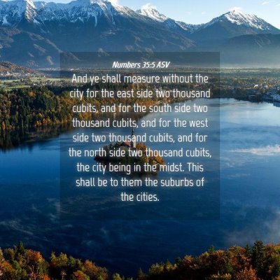 Picture 04 - Numbers 35:5 ASV - And ye shall measure without the city for the - Bible Verse Picture