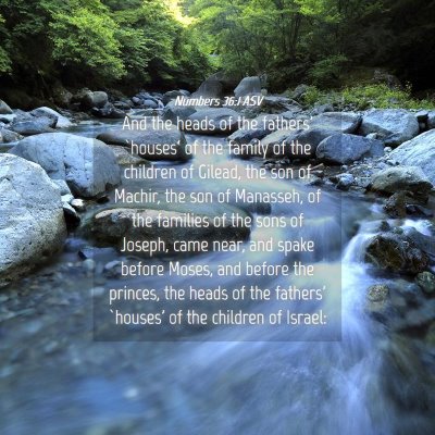 Picture 04 - Numbers 36:1 ASV - And the heads of the fathers' `houses' of the - Bible Verse Picture