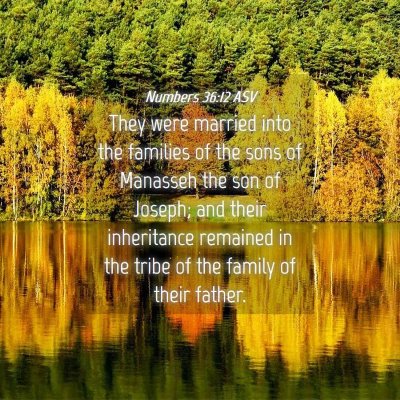 Picture 04 - Numbers 36:12 ASV - They were married into the families of the sons - Bible Verse Picture