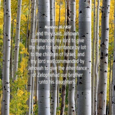Picture 04 - Numbers 36:2 ASV - and they said, Jehovah commanded my lord to give - Bible Verse Picture