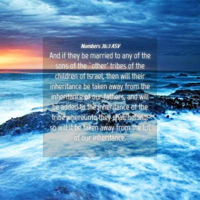 Picture 04 - Numbers 36:3 ASV - And if they be married to any of the sons of the - Bible Verse Picture