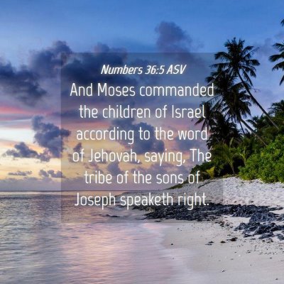 Picture 04 - Numbers 36:5 ASV - And Moses commanded the children of Israel - Bible Verse Picture