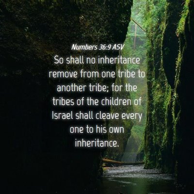 Picture 04 - Numbers 36:9 ASV - So shall no inheritance remove from one tribe to - Bible Verse Picture