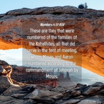 Picture 04 - Numbers 4:37 ASV - These are they that were numbered of the families - Bible Verse Picture