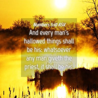 Picture 04 - Numbers 5:10 ASV - And every man's hallowed things shall be his: - Bible Verse Picture