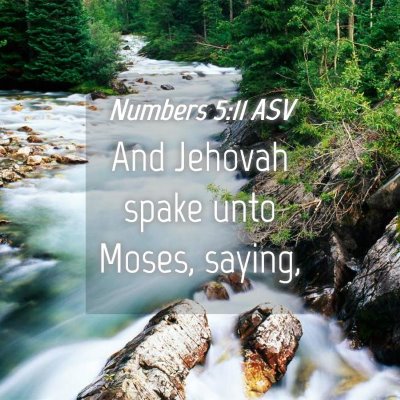Picture 04 - Numbers 5:11 ASV - And Jehovah spake unto Moses, - Bible Verse Picture