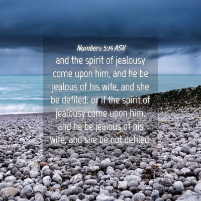 Picture 04 - Numbers 5:14 ASV - and the spirit of jealousy come upon him, and he - Bible Verse Picture