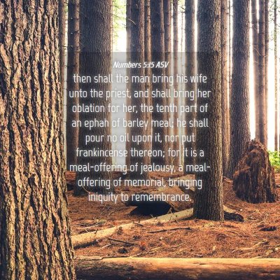 Picture 04 - Numbers 5:15 ASV - then shall the man bring his wife unto the - Bible Verse Picture