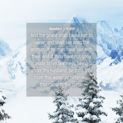 Picture 04 - Numbers 5:19 ASV - And the priest shall cause her to swear, and - Bible Verse Picture