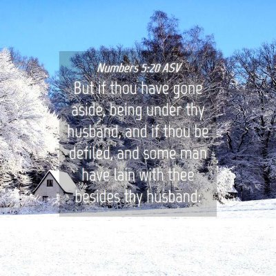 Picture 04 - Numbers 5:20 ASV - But if thou have gone aside, being under thy - Bible Verse Picture