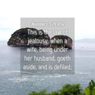 Picture 04 - Numbers 5:29 ASV - This is the law of jealousy, when a wife, being - Bible Verse Picture